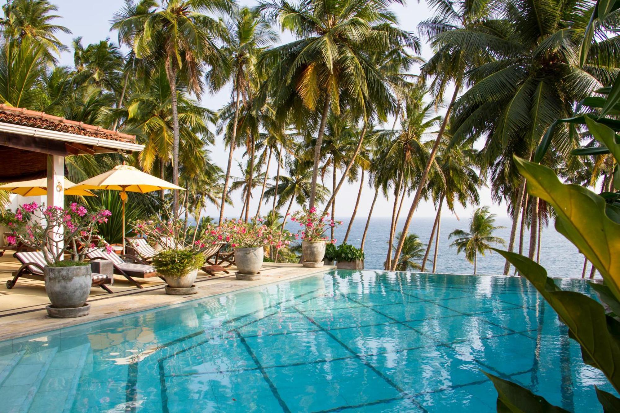 The Saffron House Hotell Dikwella Eksteriør bilde