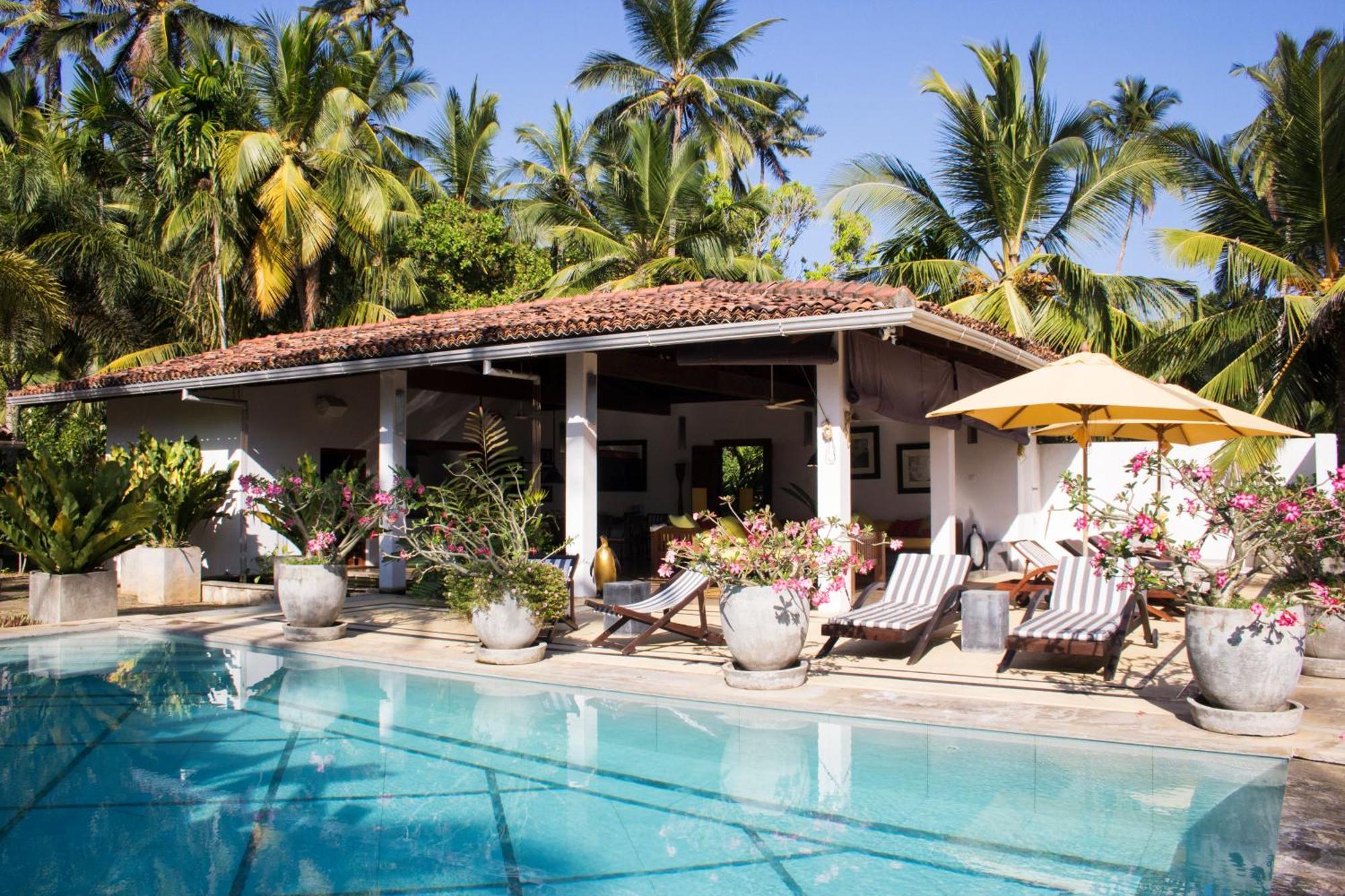 The Saffron House Hotell Dikwella Eksteriør bilde