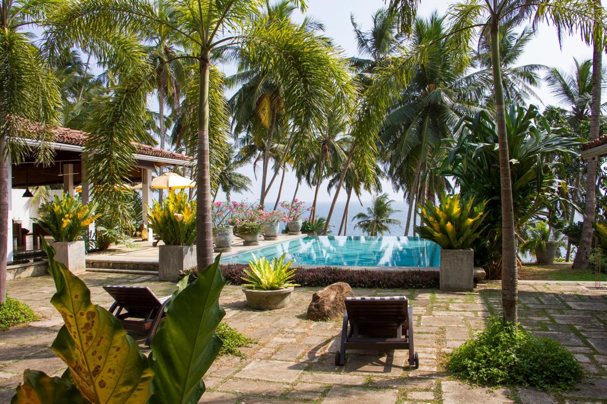 The Saffron House Hotell Dikwella Eksteriør bilde
