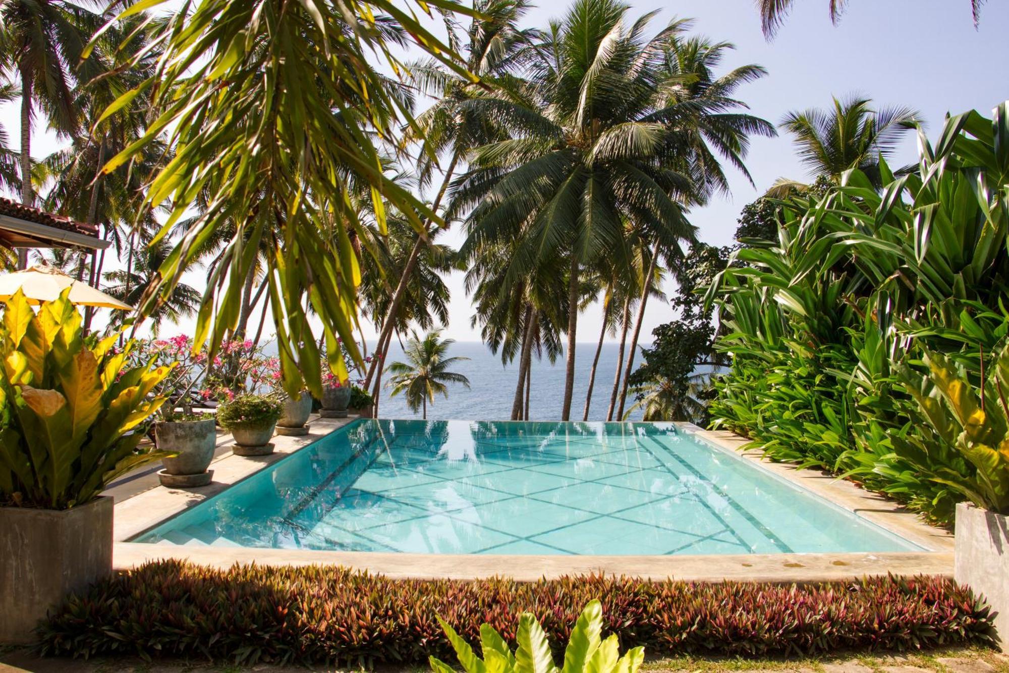 The Saffron House Hotell Dikwella Eksteriør bilde