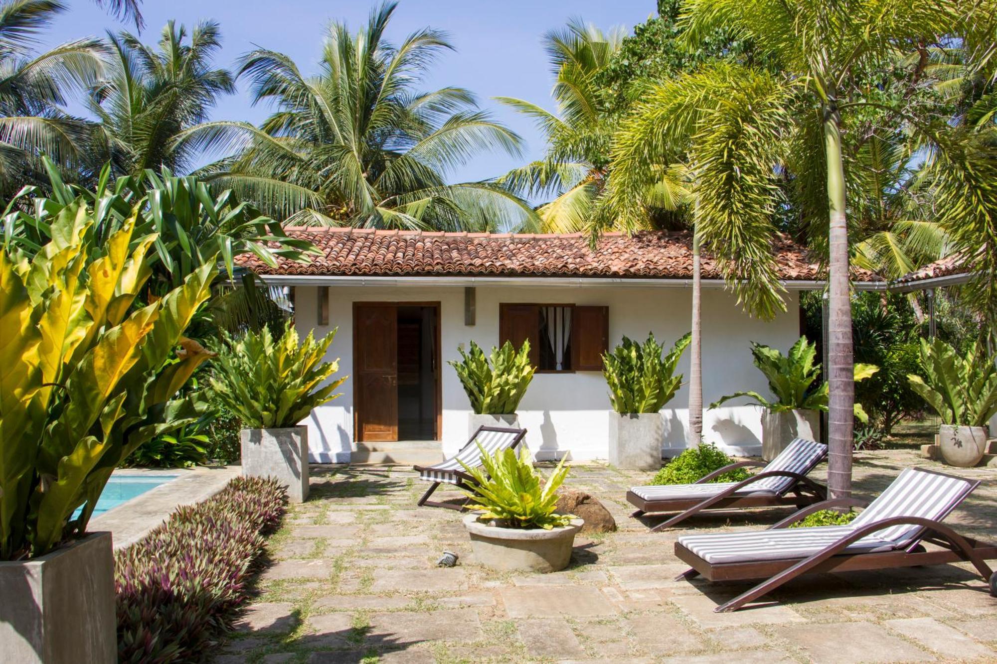 The Saffron House Hotell Dikwella Eksteriør bilde